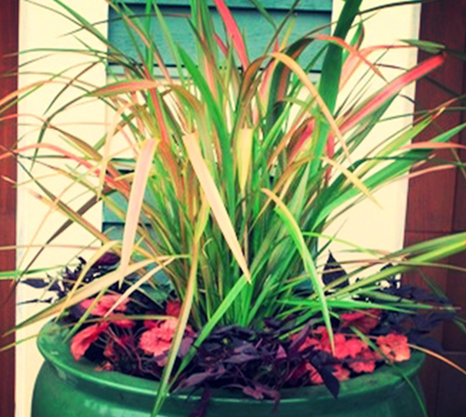 landscaping