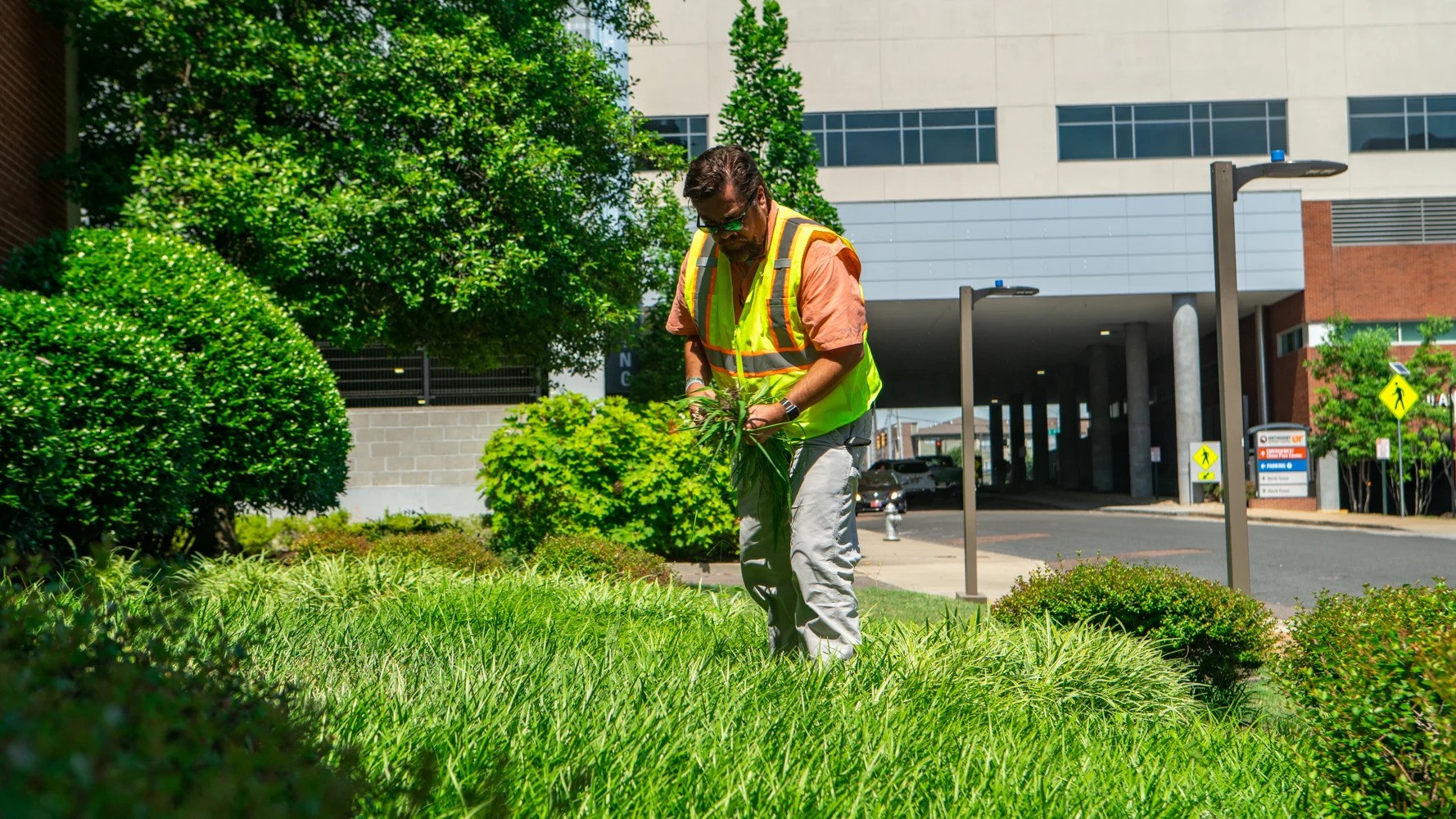 CommercialLandscapingMethodistUniversityHospitalcrewweeding2-ezgif.com-webp-to-jpg-converter